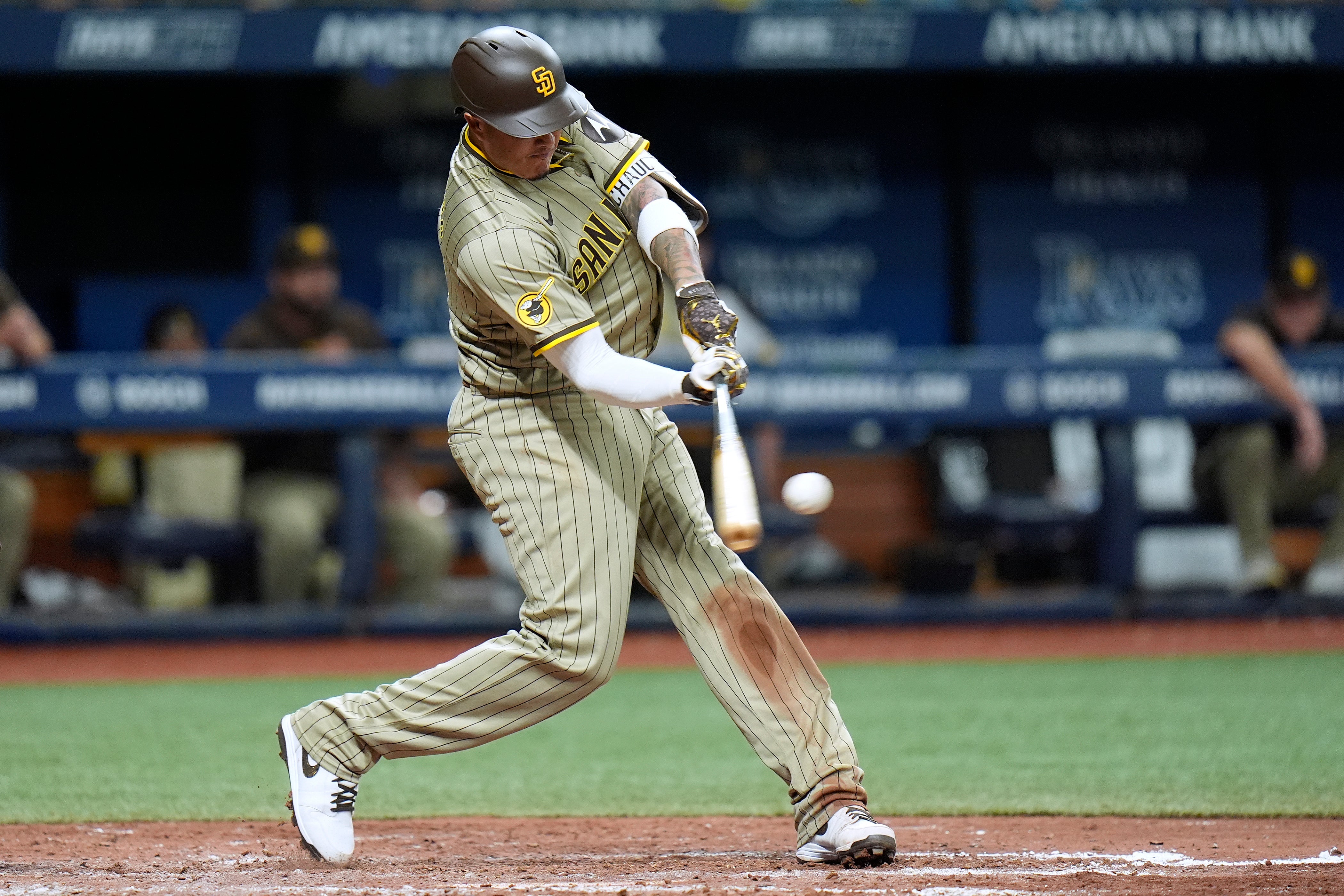 PADRES-RAYS