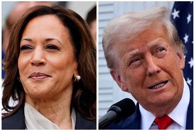 <p>Las cuotas de apuestas a favor de Donald Trump superaron a las de Kamala Harris en el Día del Trabajo, aunque la competencia se mantiene reñida </p>