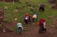 Familia rompe con la evolución y camina en cuatro patas