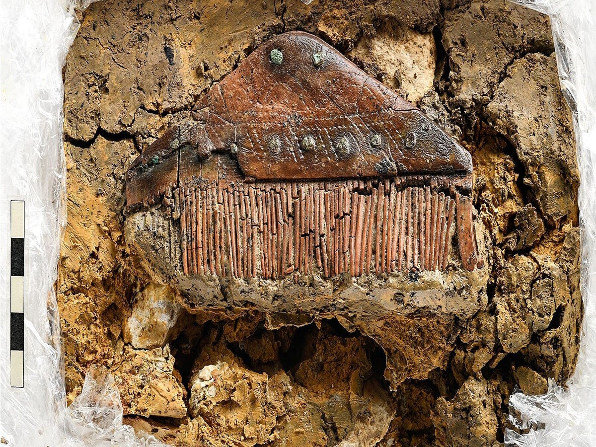 Descubrimiento en Alemania: la tumba de un “bárbaro” revela detalles de  hace 1700 años | Independent Español