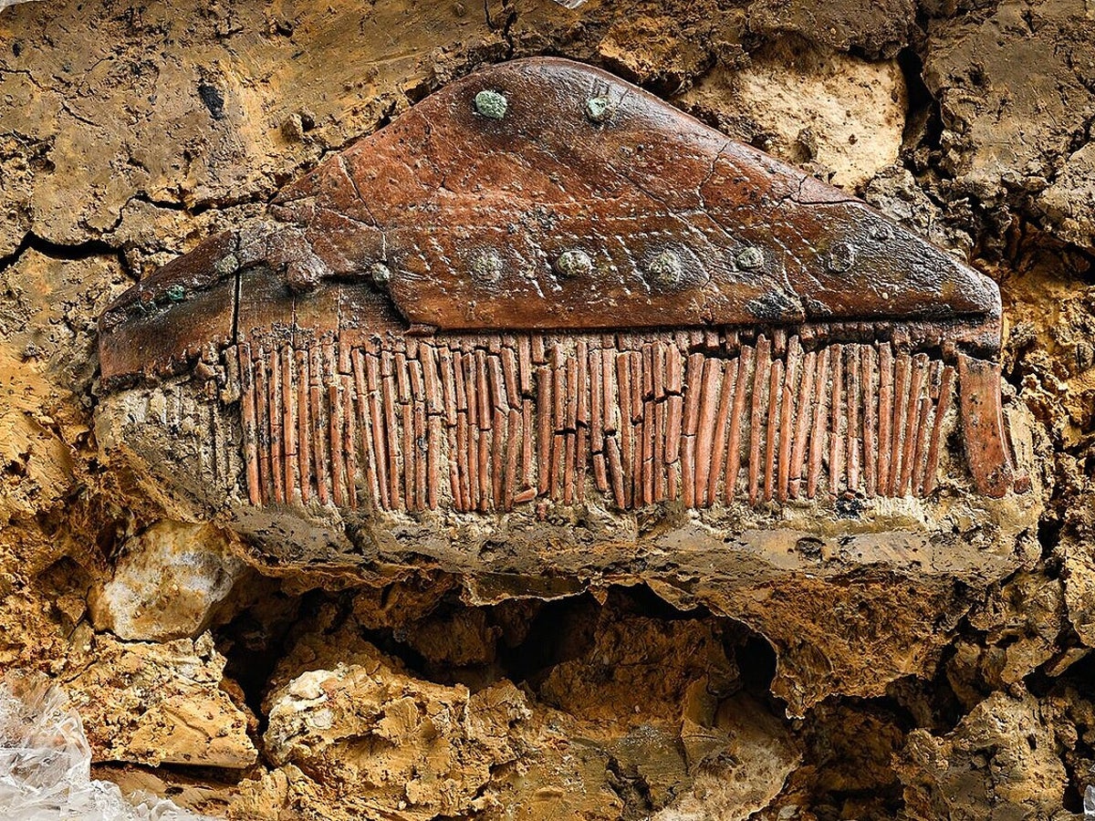 Descubrimiento en Alemania: la tumba de un “bárbaro” revela detalles de hace 1700 años | Independent Español