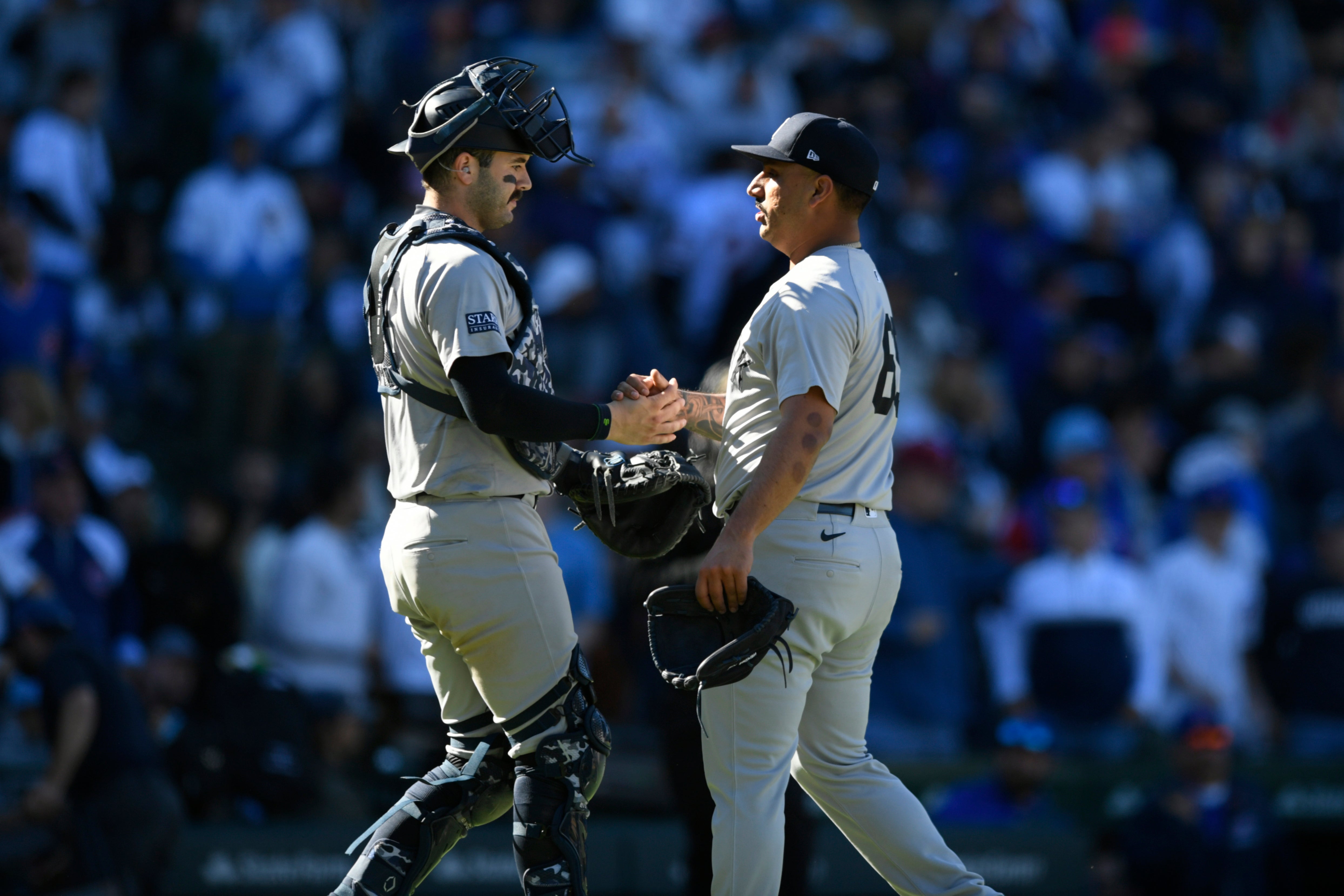 YANKEES CACHORROS