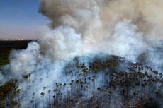 Brasil enfrenta la peor sequía de su historia, con incendios y mínimos históricos del río Amazonas