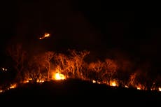 Brasil atraviesa su peor sequía con incendios forestales y el Amazonas en un mínimo histórico