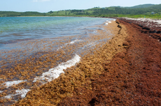 Un mar aislado: la única masa de agua que no toca tierra