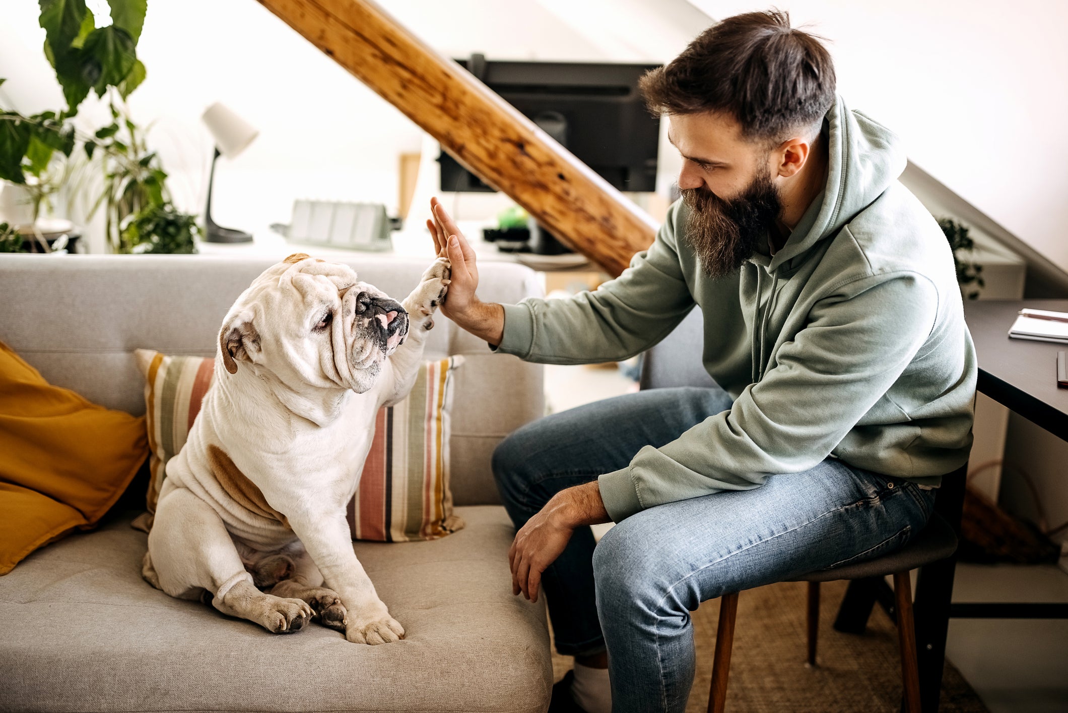 El 74 % dijo que la relación con su perro es aún más fuerte porque la construyeron con el tiempo