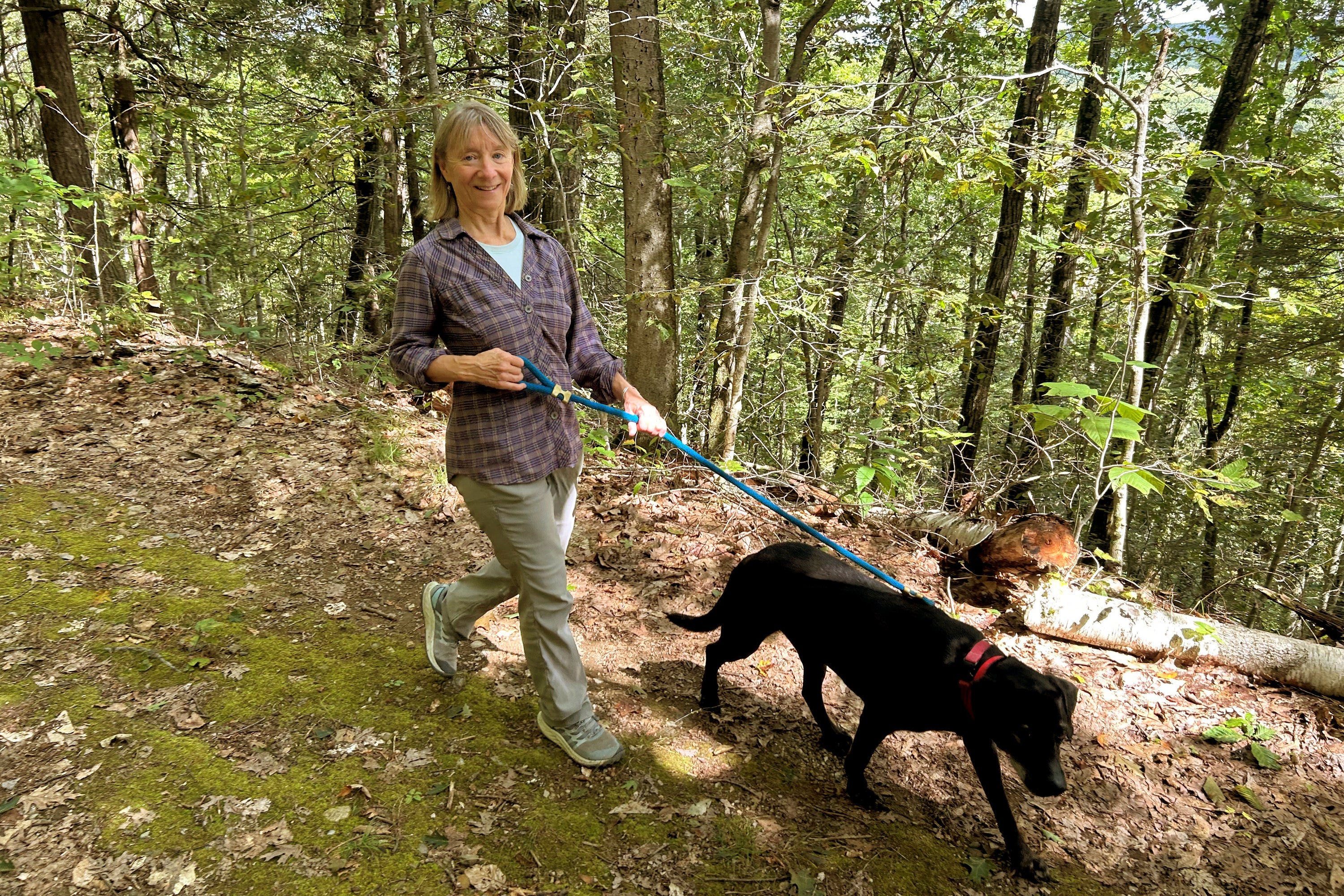 LESIONES AL PASEAR AL PERRO