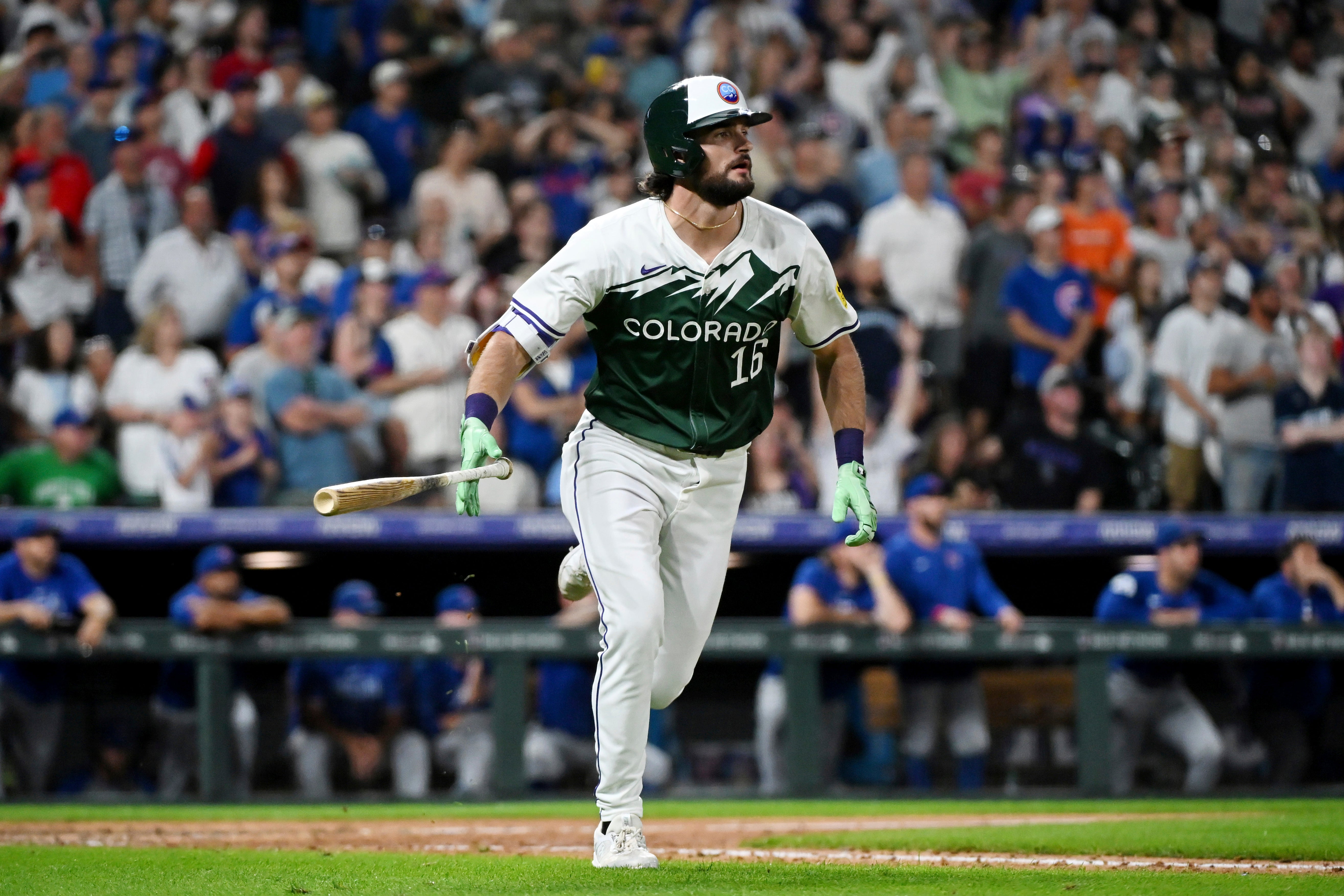 CACHORROS-ROCKIES