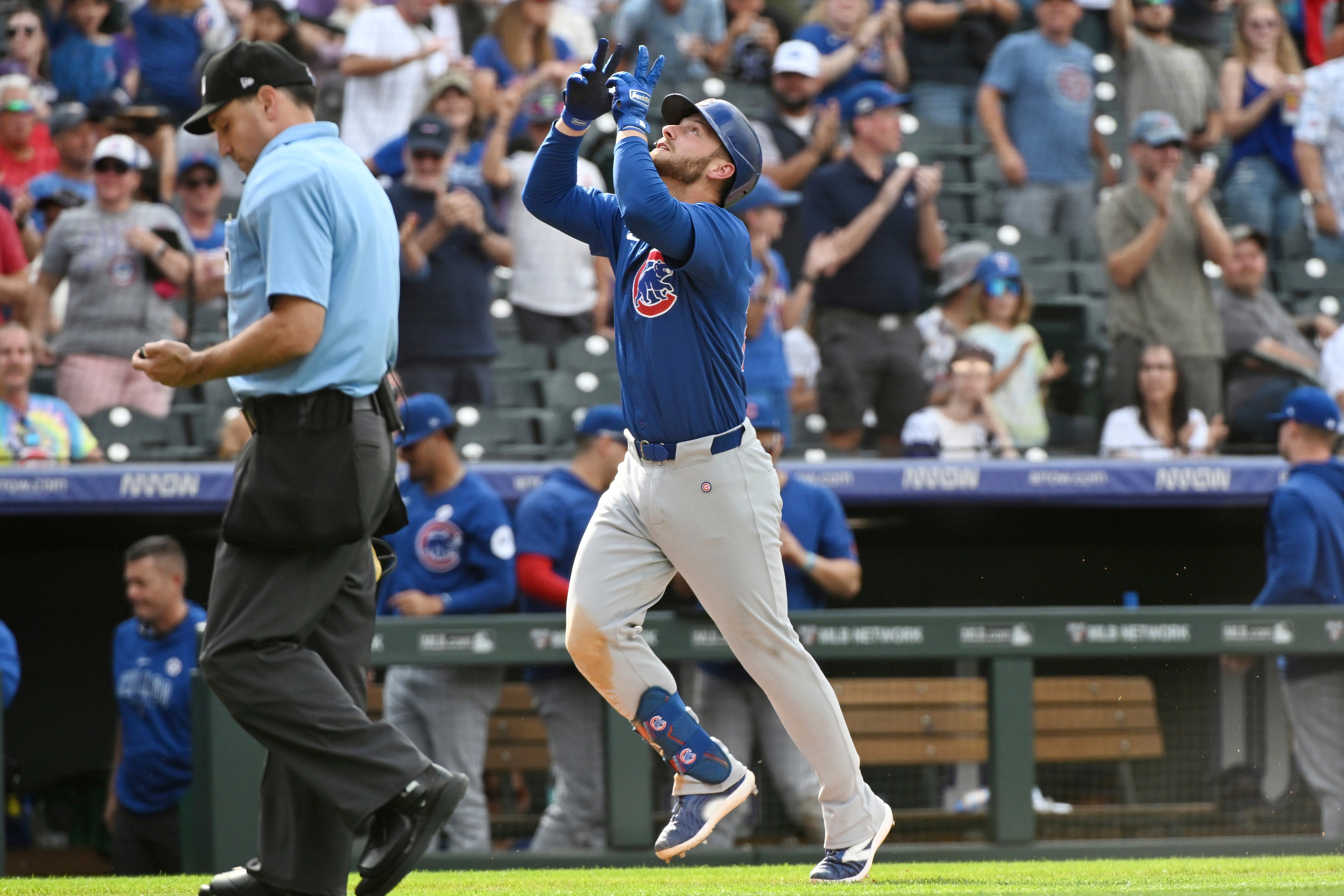 CACHORROS-ROCKIES