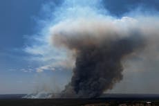 Bomberos brasileños combaten incendio en un parque nacional que ha envuelto a Brasilia en humo