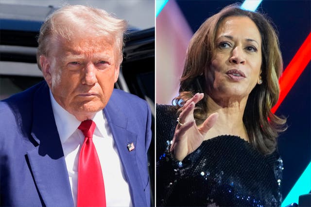 <p>Los resultados de las encuestas entre Donald Trump (izquierda) y Kamala Harris han estado empatados, lo que ha provocado dudas sobre qué pasaría si en el Colegio Electoral sucediera lo mismo </p>