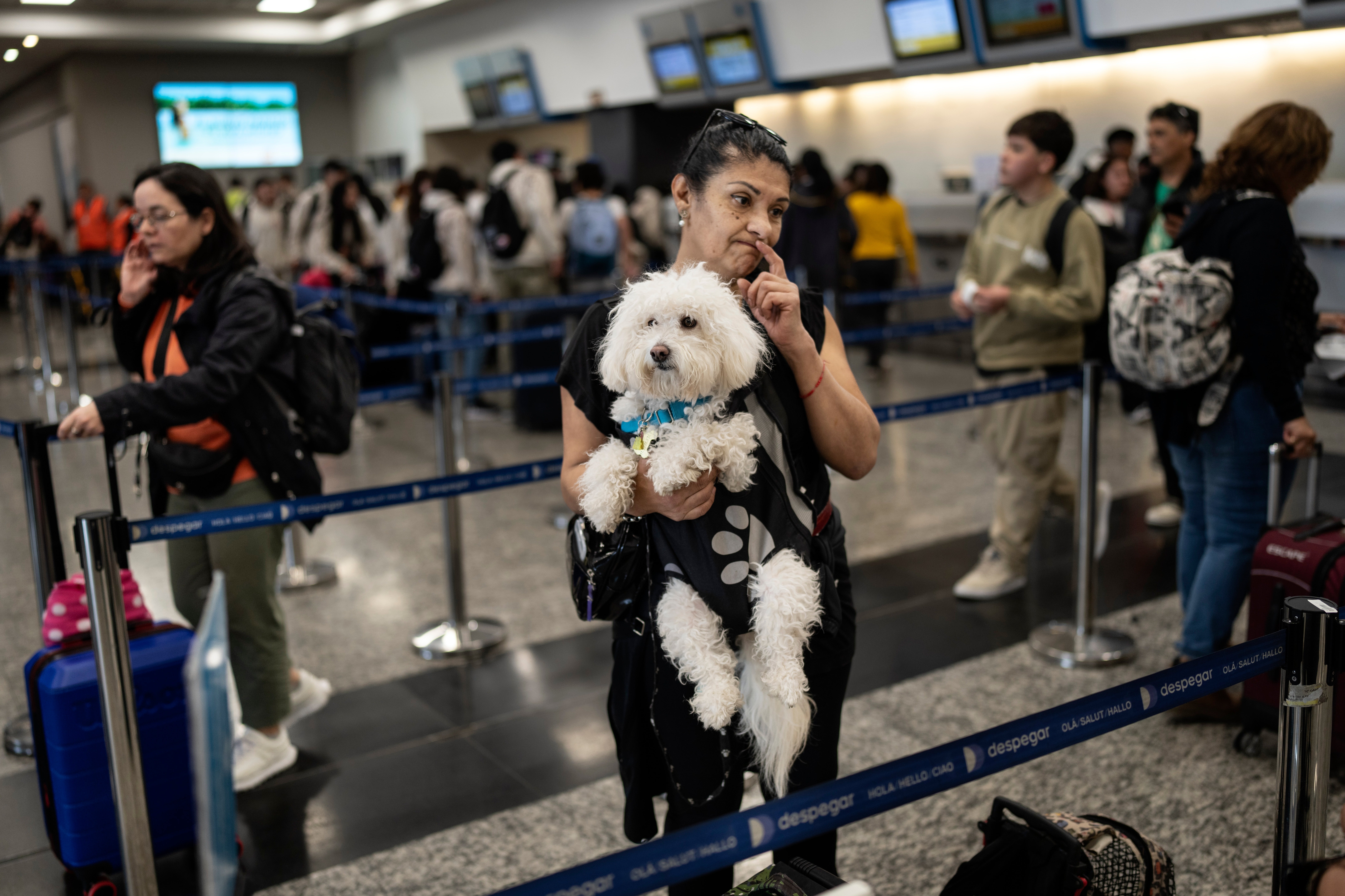 ARGENTINA-AEROLÍNEAS ARGENTINAS