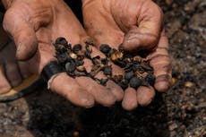 Después de los huevos, el café alcanza su nivel más alto en 50 años