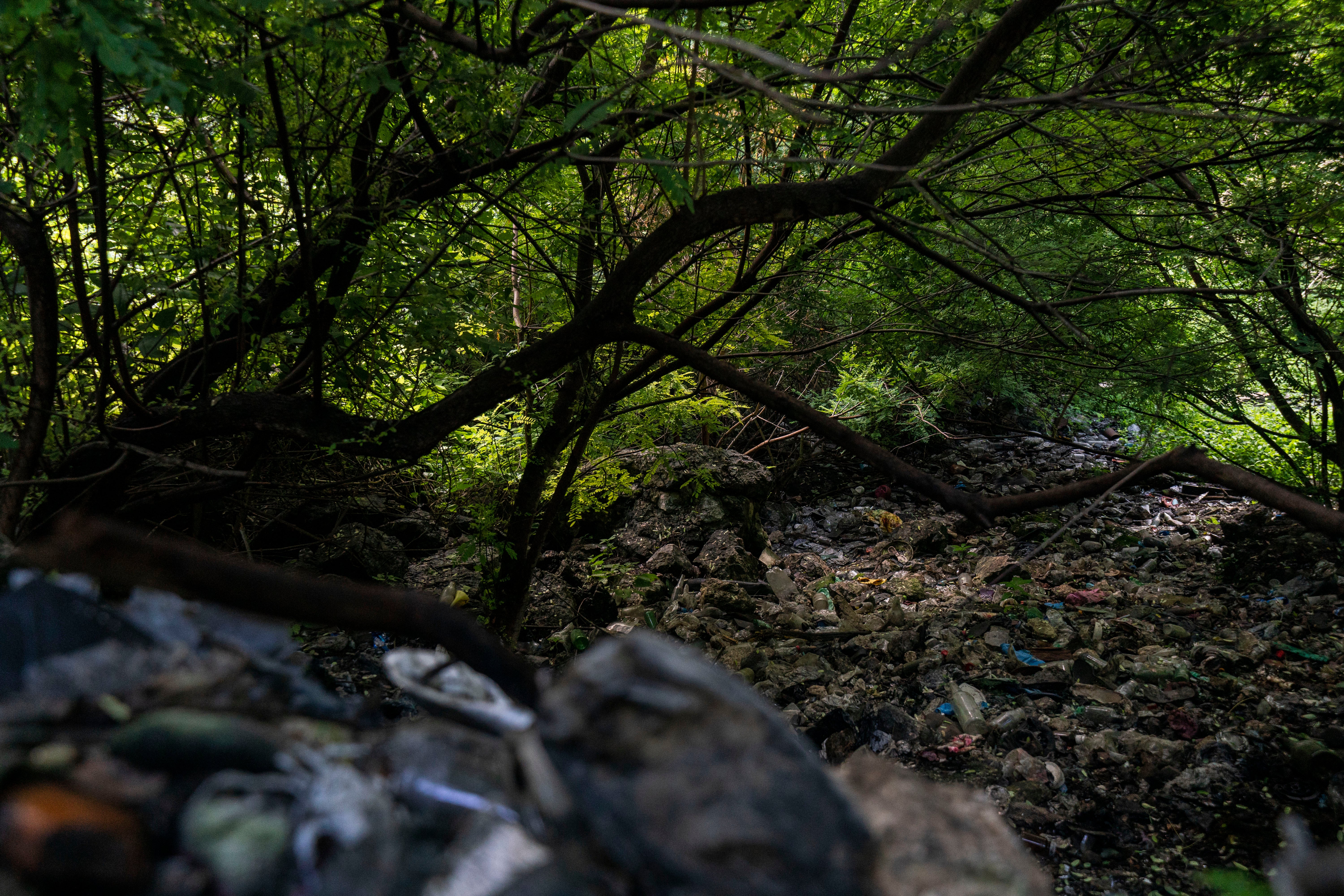 MÉXICO-ESTUDIANTES DESAPARECIDOS- SUPERVIVIENTE