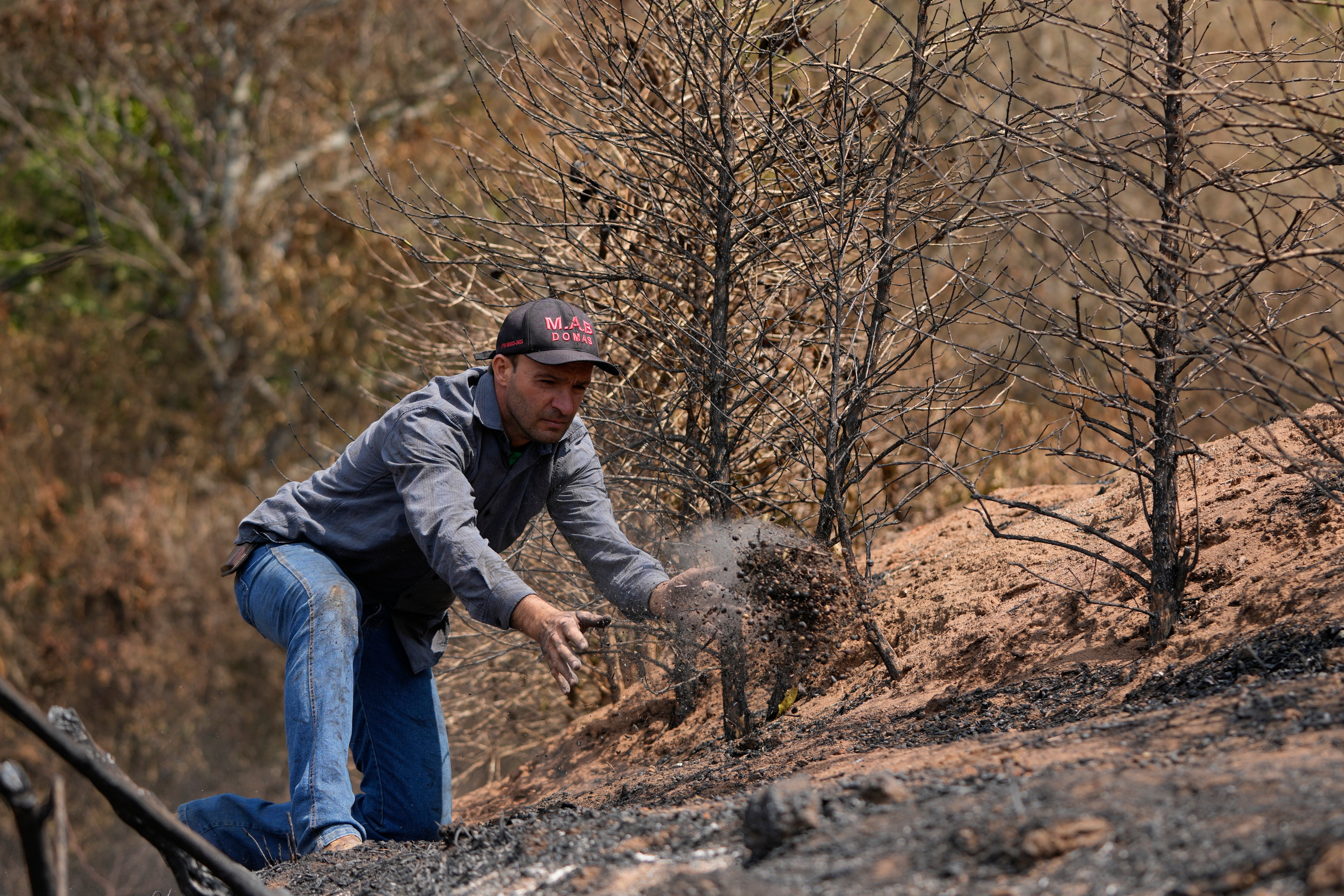 BRASIL-INCENDIOS-CULTIVOS DE CAFÉ