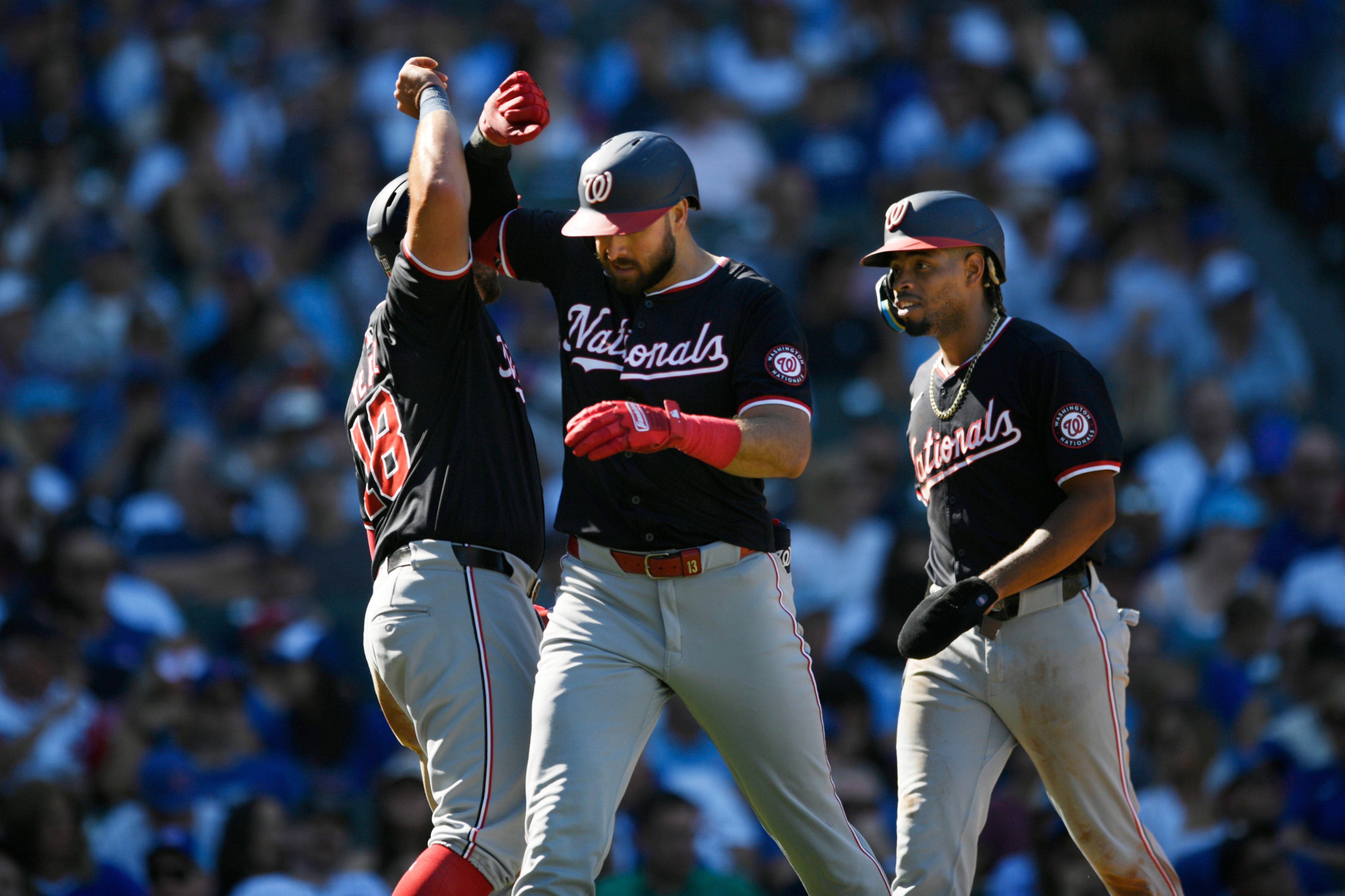 NACIONALES CACHORROS