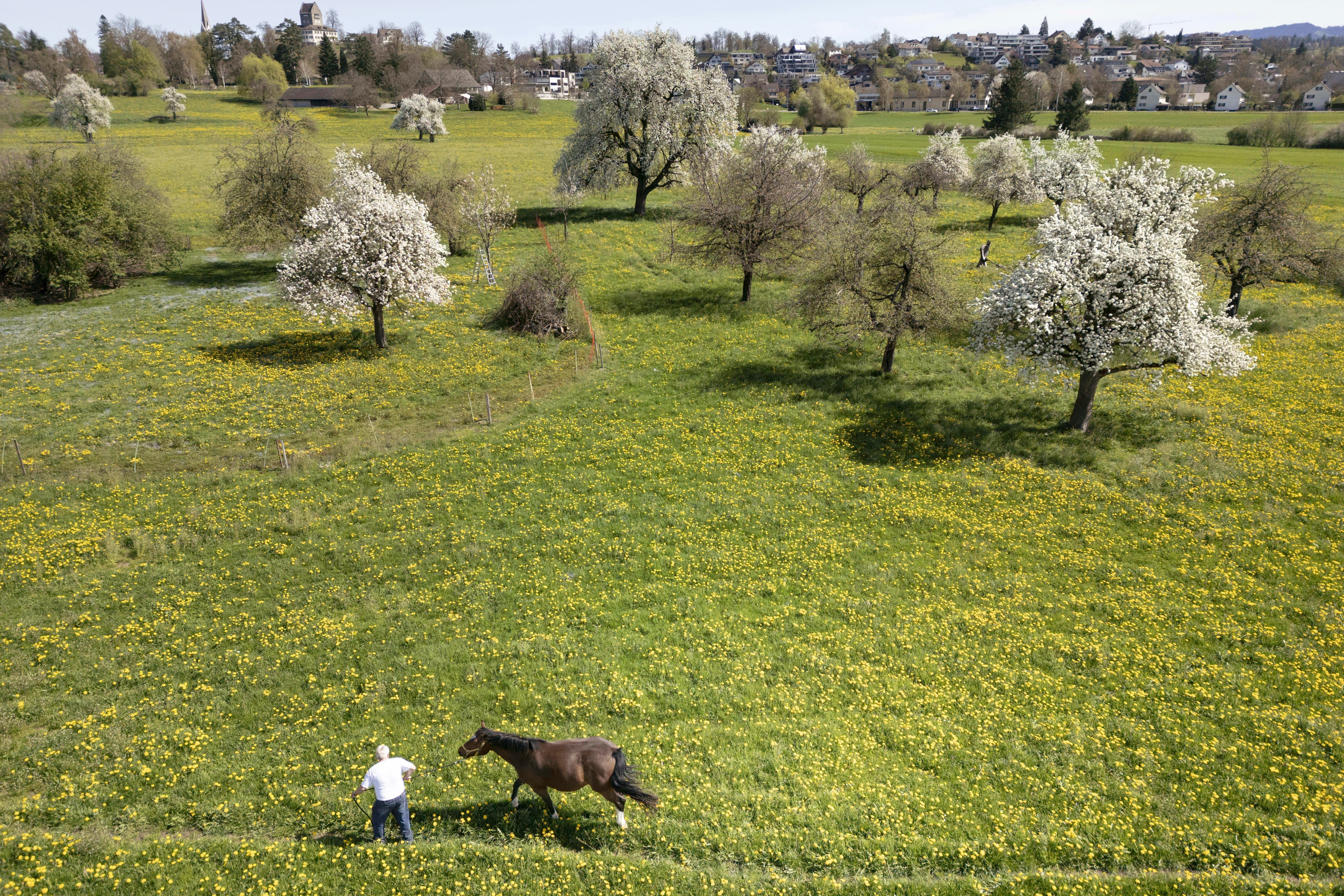 SUIZA-VOTO-BIODIVERSIDAD