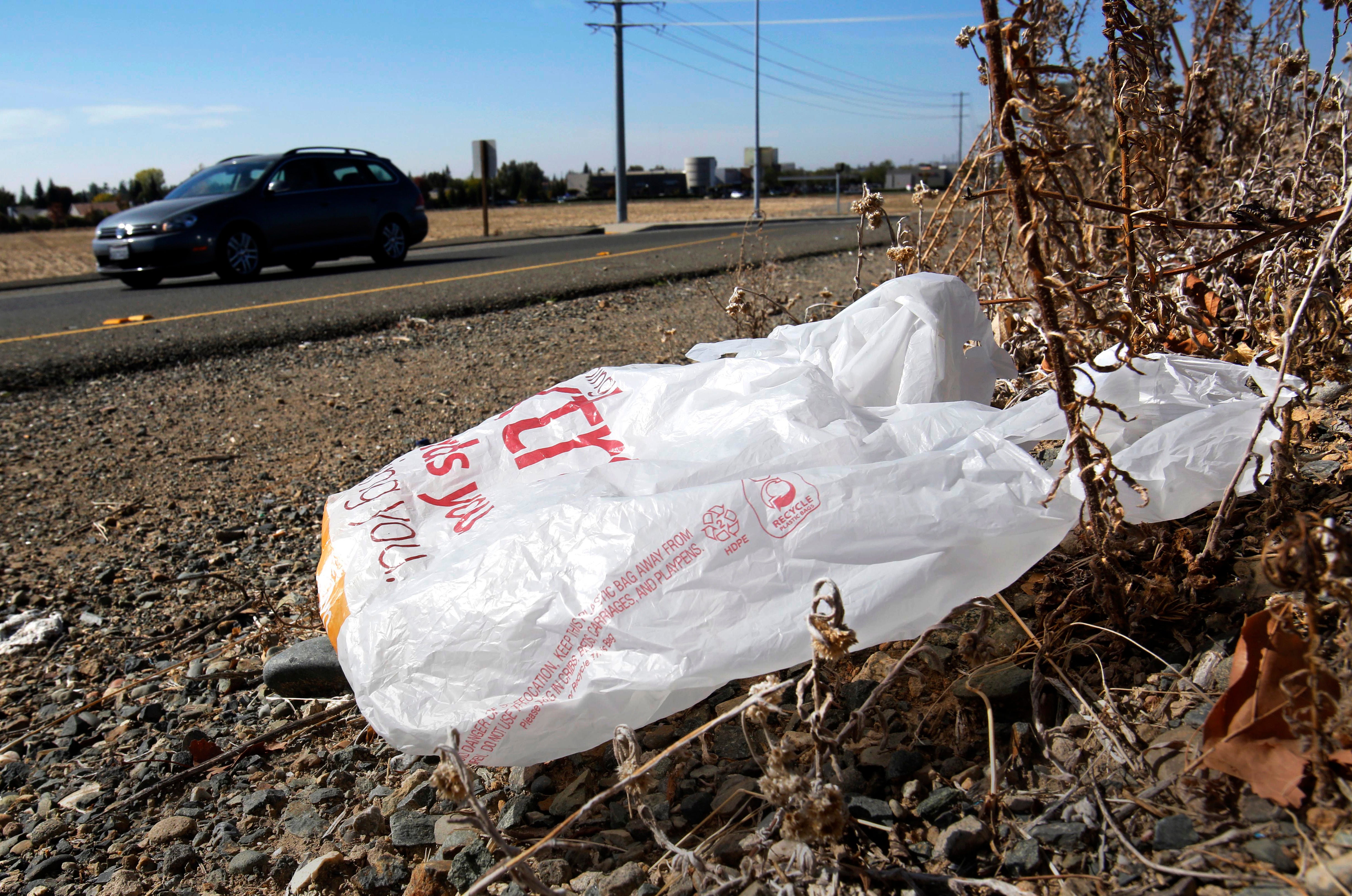 CALIFORNIA-BOLSAS DE PLÁSTICO