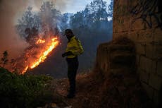 Ecuador: Suspensión de clases y decenas de personas evacuadas en Quito por incendios forestales