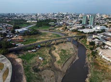 Dramáticas imágenes muestran la magnitud de la sequía en Amazonia y sus ríos