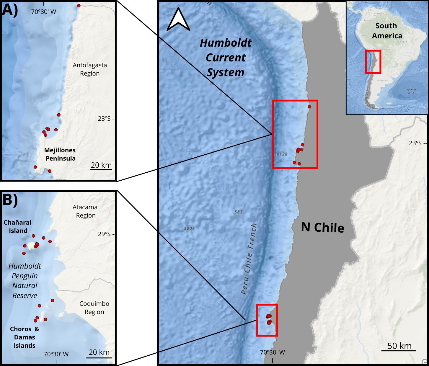 Mapa del norte de Chile que muestra dos avistamientos de orcas