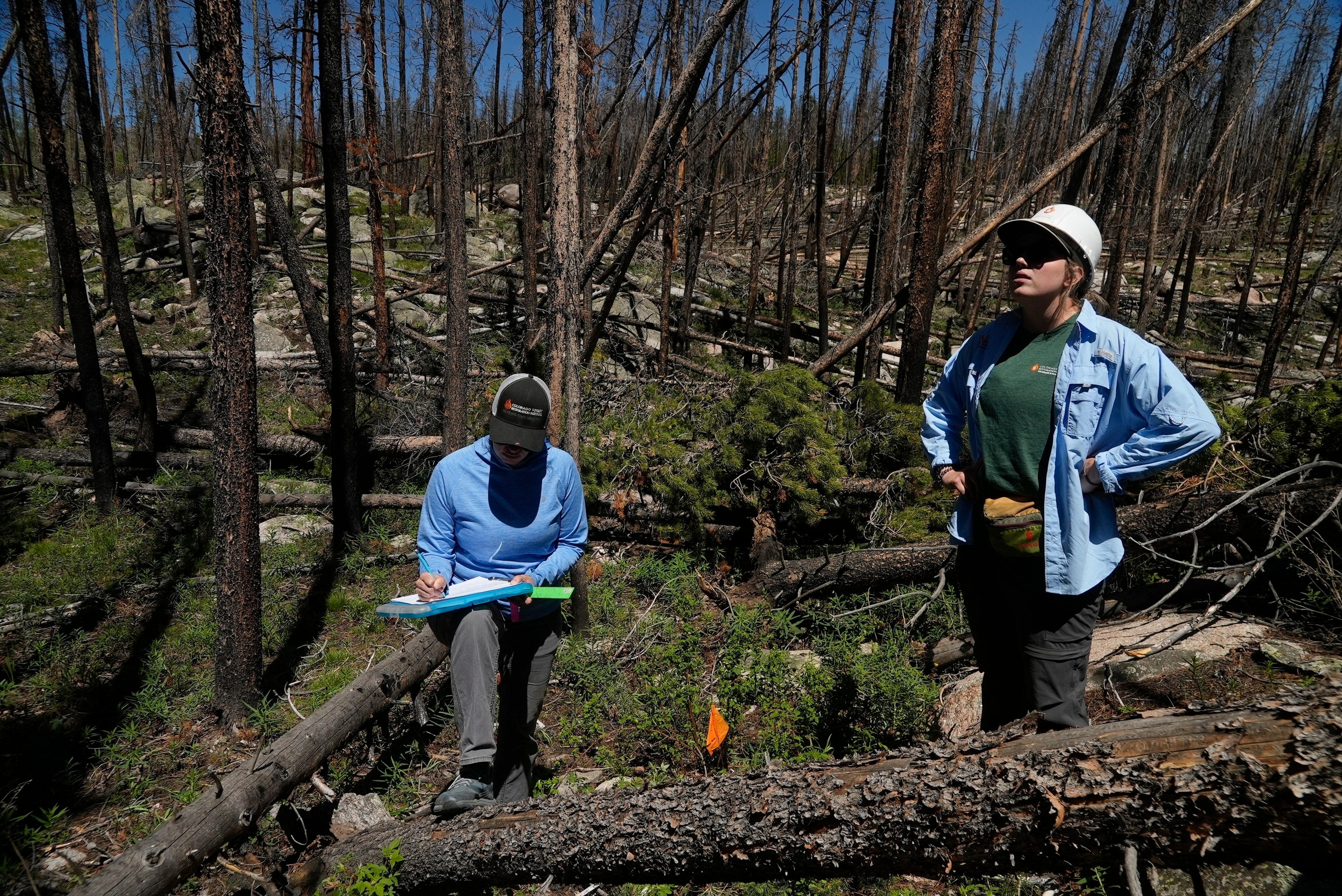 EEUU-INCENDIOS FORESTALES-BOSQUES