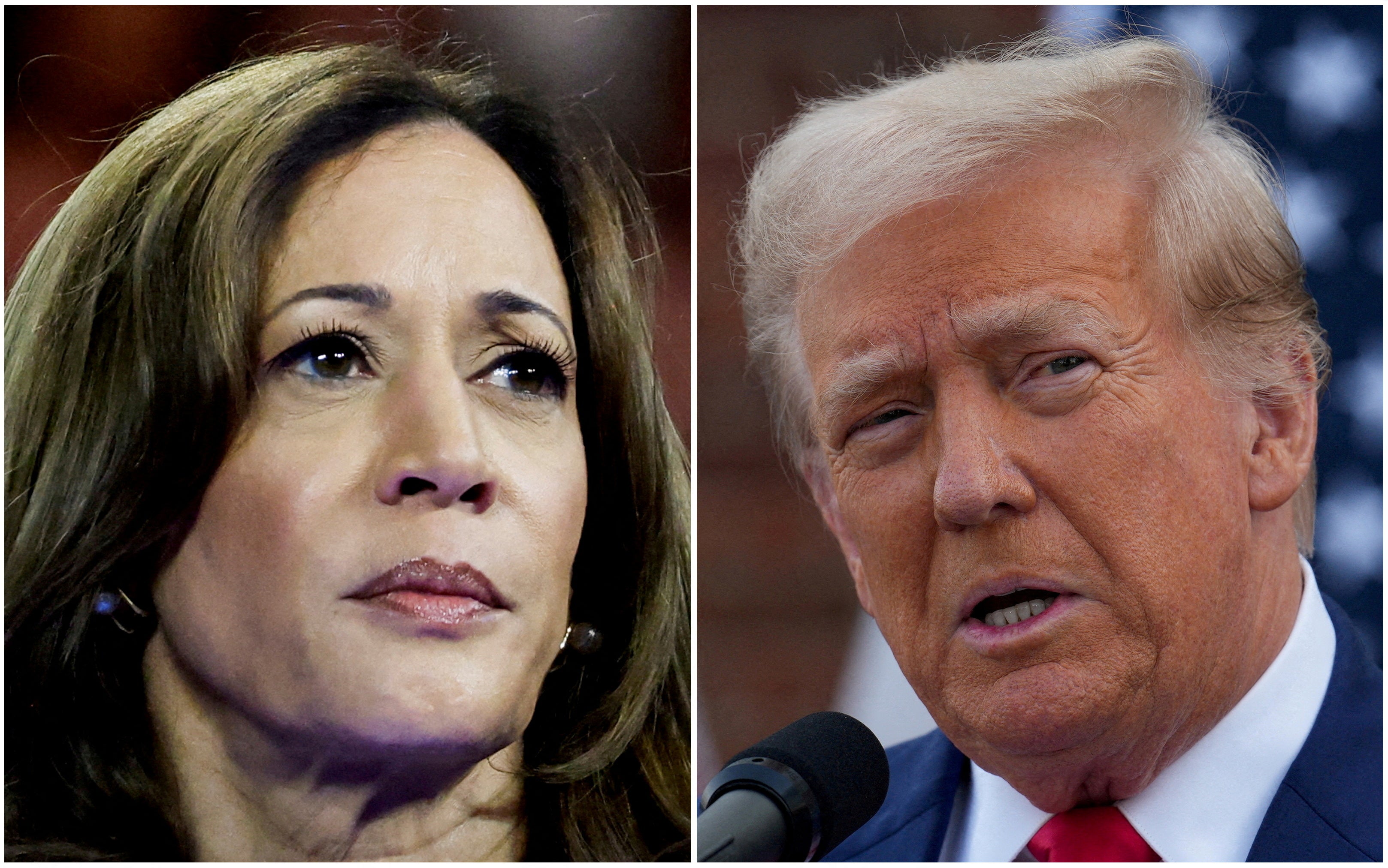 Lichtman pronosticó que Kamala Harris ganará a Donald Trump en las elecciones de 2024