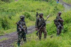 Grupo rebelde congoleño genera 300.000 dólares mensuales en zonas mineras capturadas, según ONU