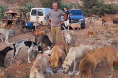 Hombre del sur de Líbano cuida a mascotas abandonadas mientras residentes huyen de ataques aéreos