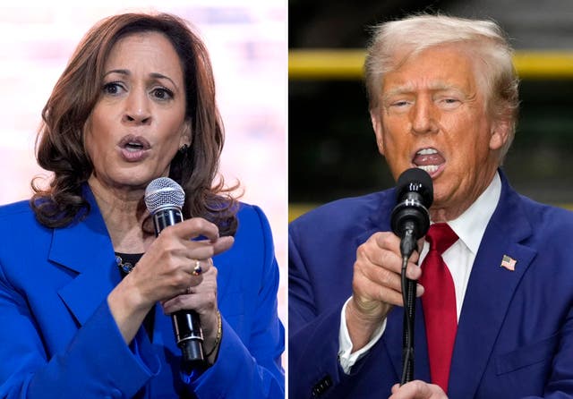 <p>A Kamala Harris y Donald Trump les quedan pocas semanas para abrir brecha en más de media docena de estados indecisos en los que la contienda está muy reñida. </p>