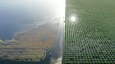 Lago emblemático de California regresa un siglo después de su desaparición