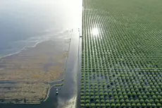 Cómo un lago de California resurgió 130 años después de su desaparición