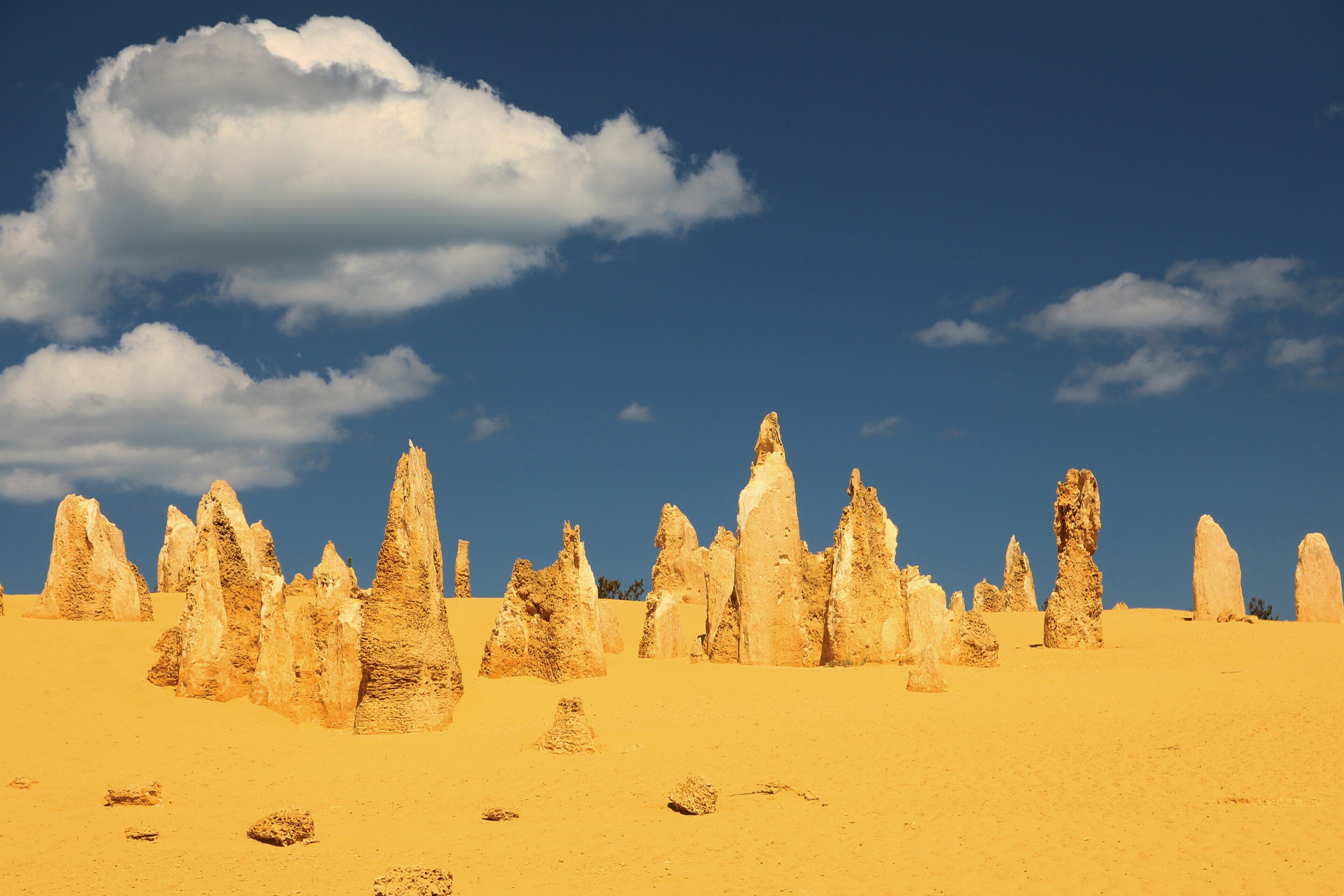 Pináculos en el Parque Nacional de Nambung, Australia Occidental