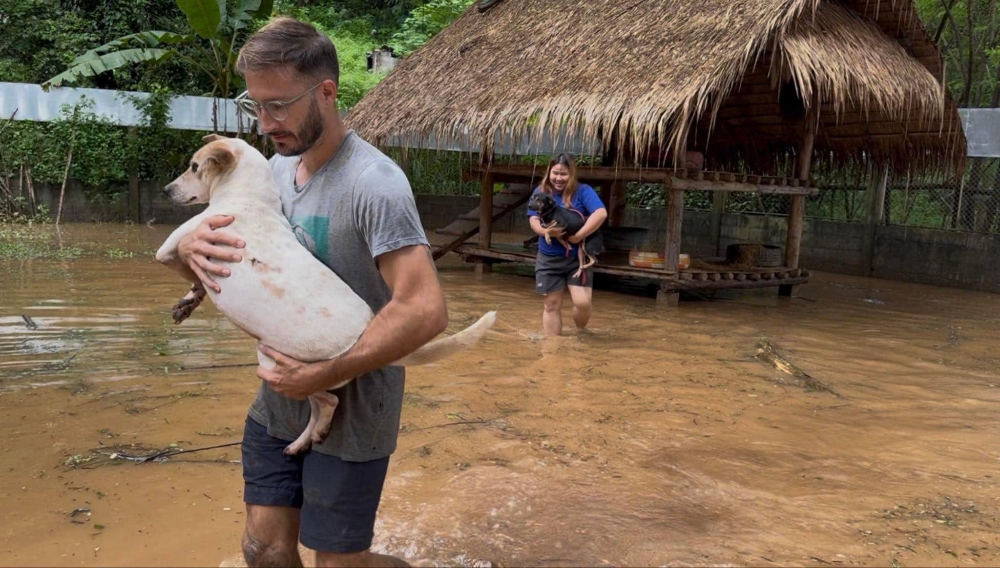 Voluntarios rescatan animales tras las inundaciones