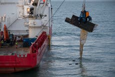 Miles de contenedores de carga se han perdido en el mar, ¿qué ocurre cuando se abren de golpe?