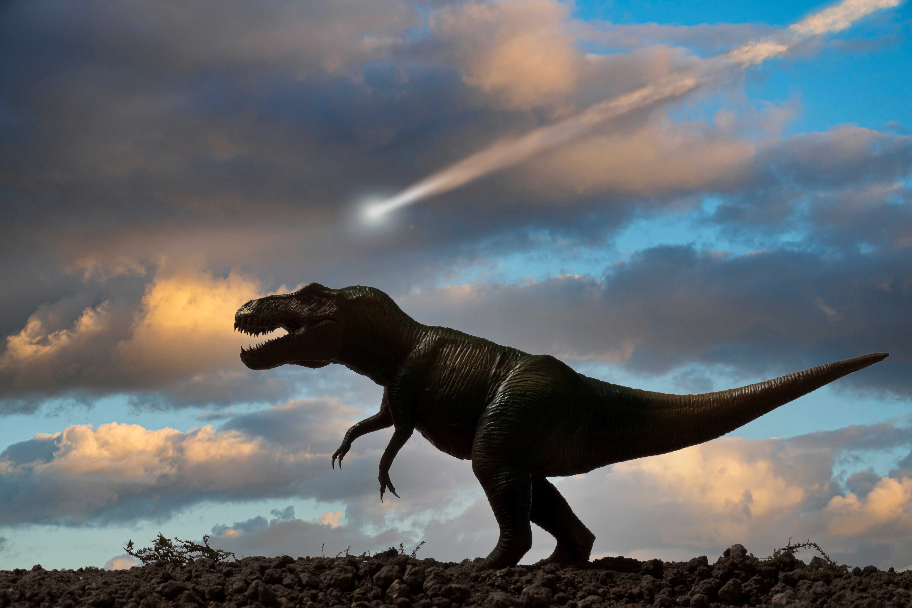 Representación ficticia de un tiranosaurio con un asteroide cayendo del cielo al fondo