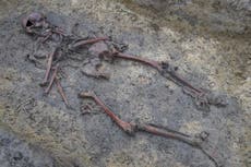 Descubren esqueletos preservados de la Era de Vikingos en Dinamarca