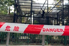 Un zoo de Hong Kong investiga la muerte de 9 monos en dos días