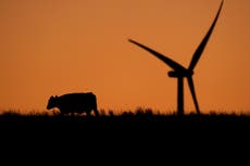 Reporte: Mundo se enfila a calentamiento considerablemente mayor sin medidas climáticas inmediatas