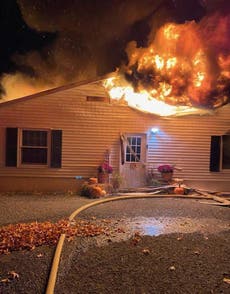 Mueren más de 40 perros en incendio en refugio de una organización de rescate en Nueva York