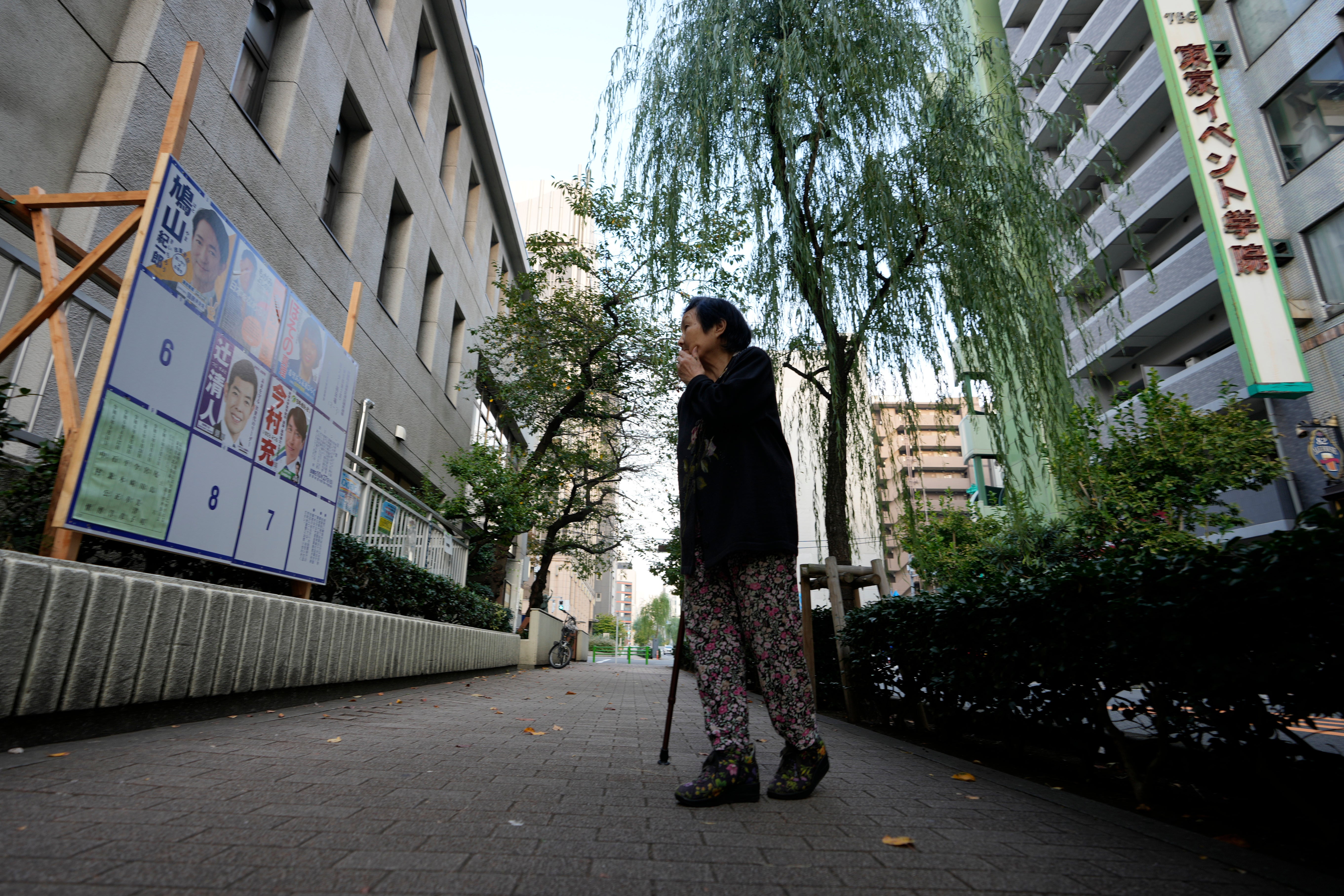 JAPON ELECCIONES