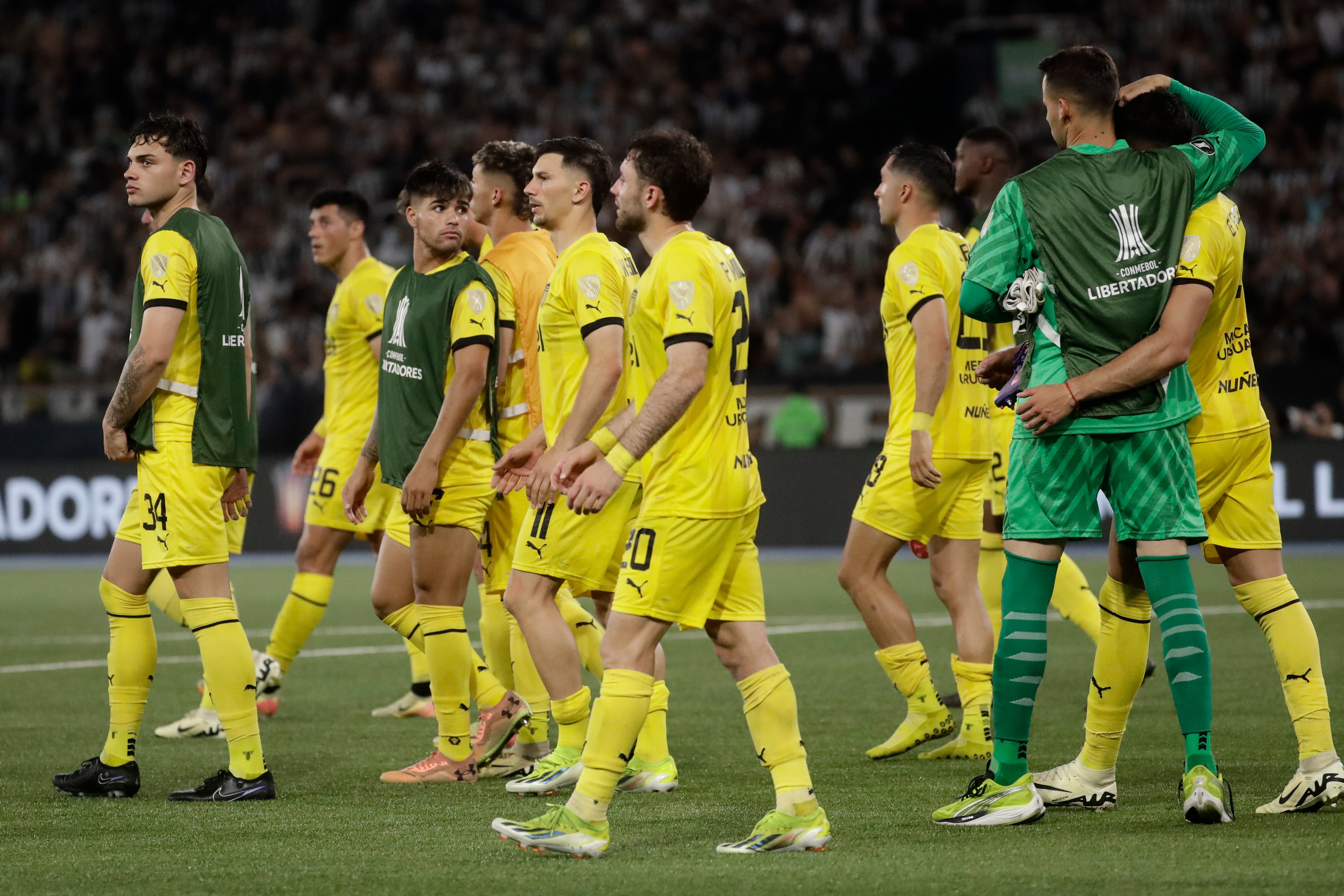 COPA LIBERTADORES