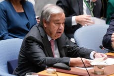 Guterres de la ONU ve con buenos ojos compra de hoja de coca en Colombia si impide el tráfico