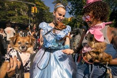 Las temperaturas suben por encima de lo normal en el noreste de EEUU el día de Halloween