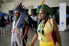 COP16 en Cali alcanza acuerdo histórico para dar voz a pueblos indígenas en temas de conservación