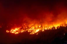 La IA, una amenaza silenciosa para el medio ambiente