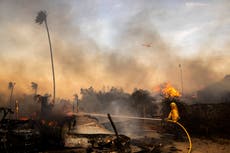 Vientos más débiles ayudan a bomberos a combatir incendio forestal en California