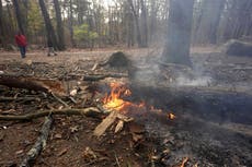 Bomberos combaten incendios en ambas costas de EEUU