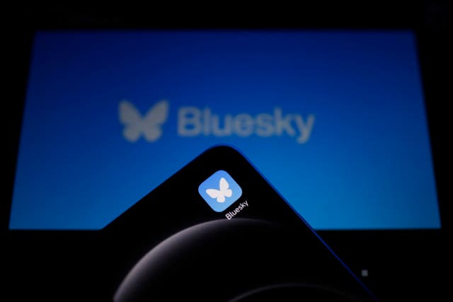 <p>Fotografía del logotipo de la plataforma de redes sociales Bluesky</p>