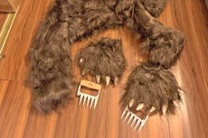 Aseguradoras afirman que oso que dañó autos de lujo era persona disfrazada